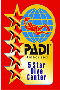 PADI Internship Bali 